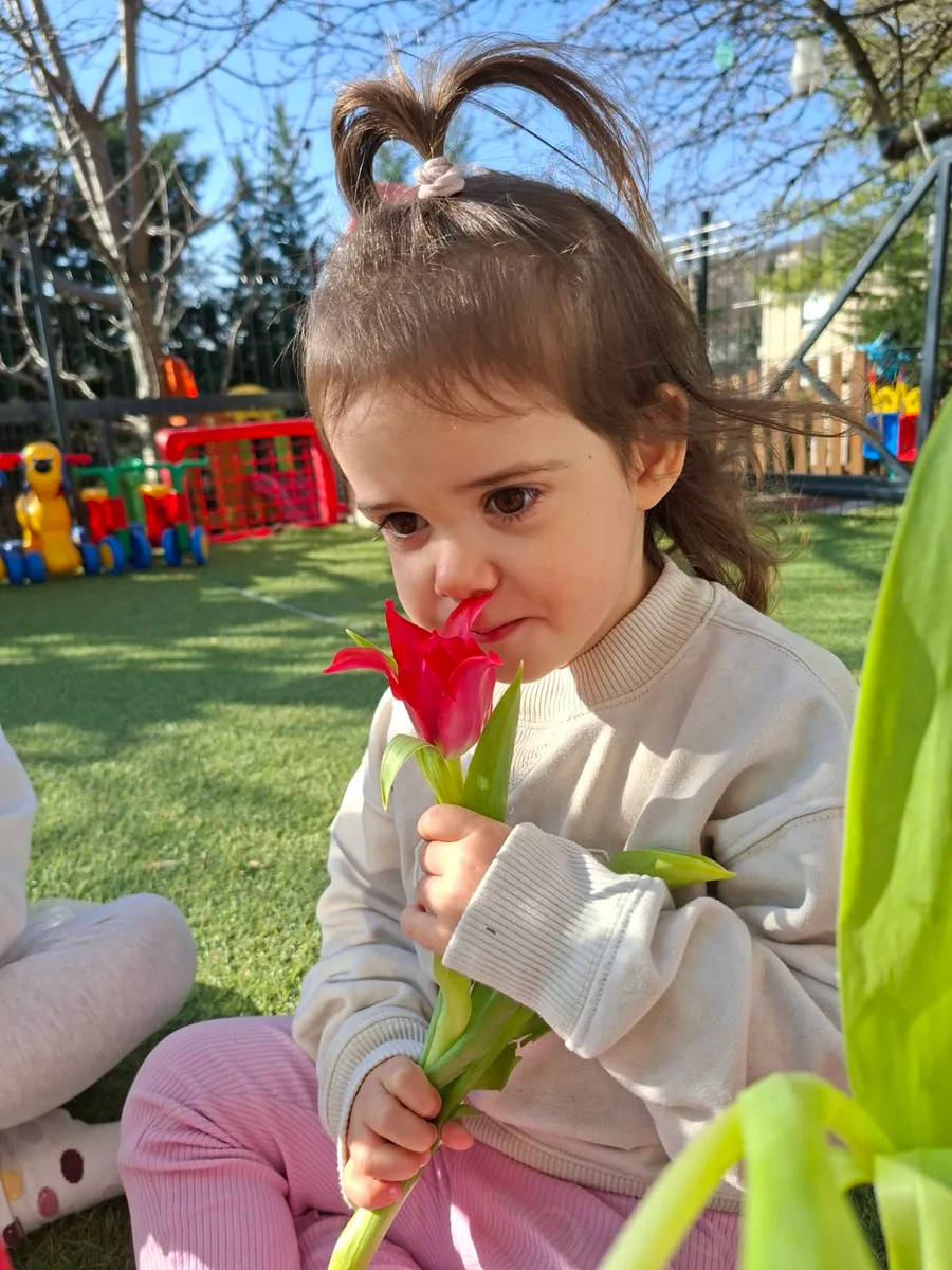 Varázsdomb Családi Bölcsőde, 1124 Budapest, Fodor utca 33. - Tulipán