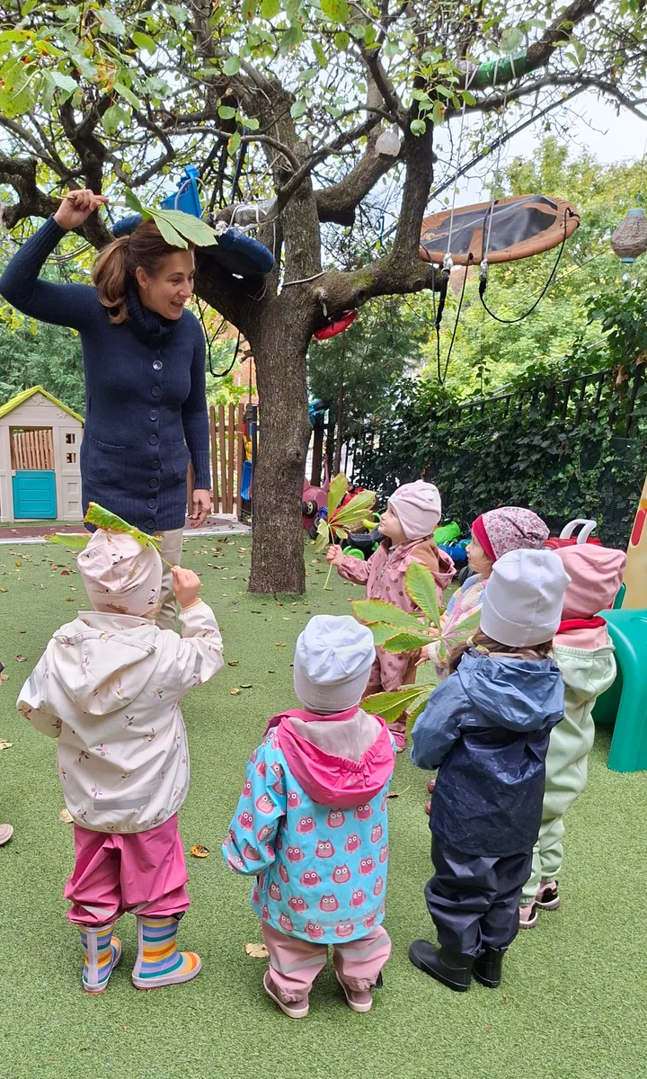 Varázsdomb Családi Bölcsőde, 1124 Budapest, Fodor utca 33. - Gesztenyefalevél